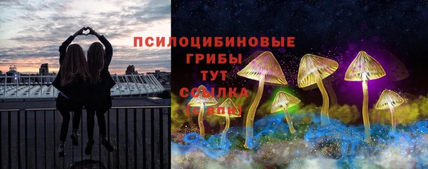 дмт Белокуриха