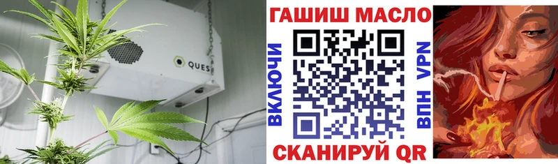 как найти закладки  Ревда  ТГК жижа 